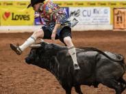 Noah Krepps bullfighting